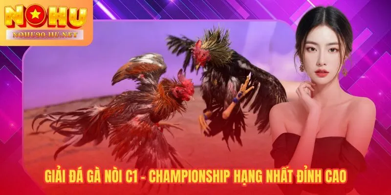 Đá gà nòi C1 chuẩn Championship chỉ dành cho chiến kê thuần chủng