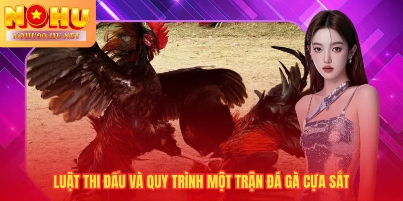 Quy trình 6 bước chuẩn đảm bảo trận đấu công bằng